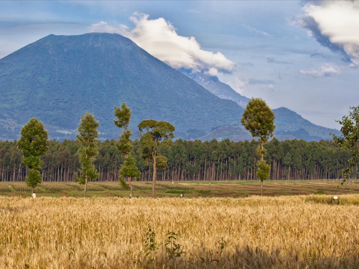 mount Nyamuragira | Climbing Nyiragongo